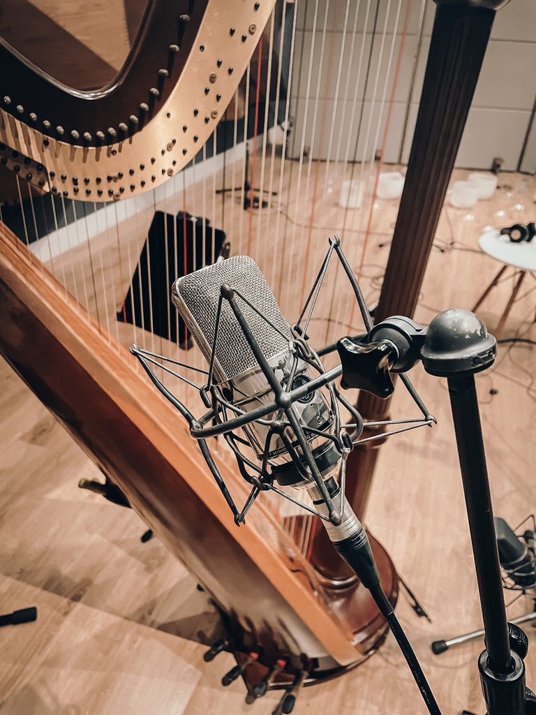 4DC79360 19DF 42A7 B333 BB38341CB33D 1 105 c | With over 20 years of audio engineering experience, I'm the owner of the recording studio Jacarandá, based in São Paulo. We are Classical Music specialists and run our own orchestra (São Paulo Studio Orchestra). I work with labels like NAXOS and independent clients.